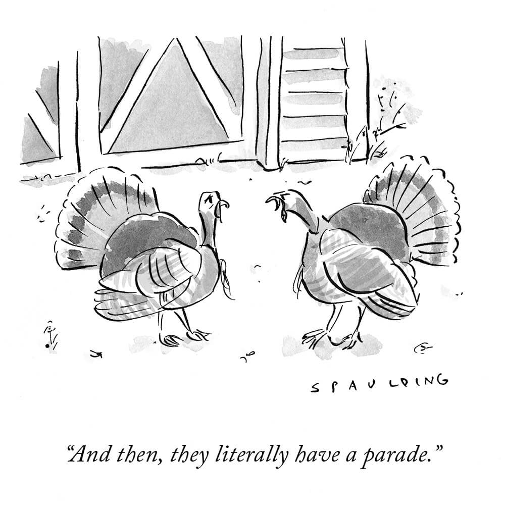 turkeys cartoon